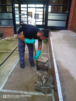 Galería de imágenes