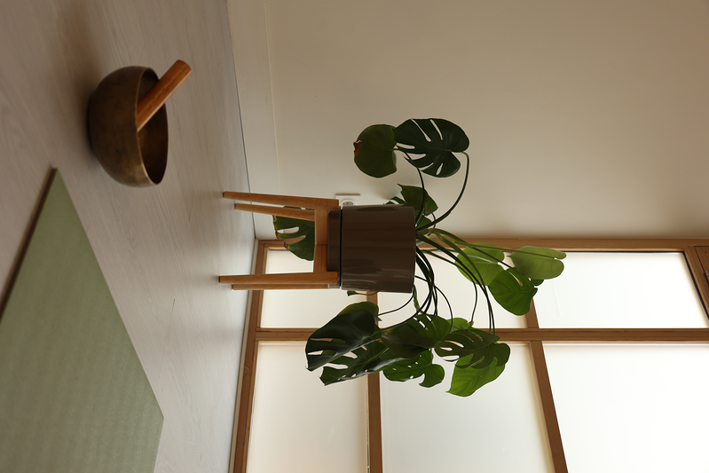 Lavita Yoga Sevilla 3