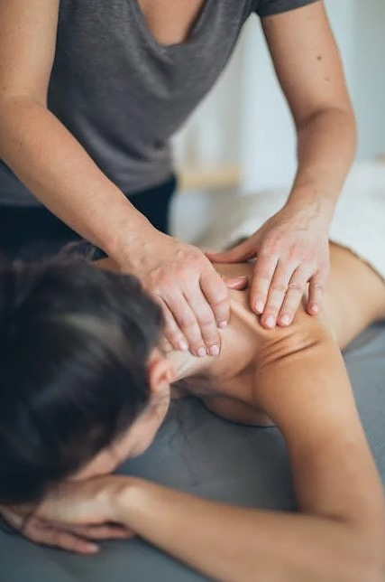 Zeus Trainer Elite 2