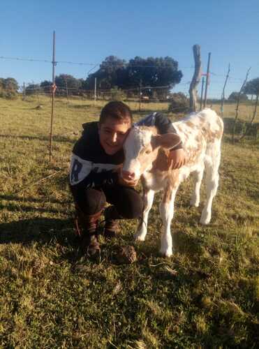 Casa Rural Casa Paula 7