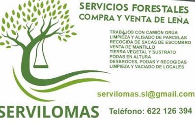 Servilomas