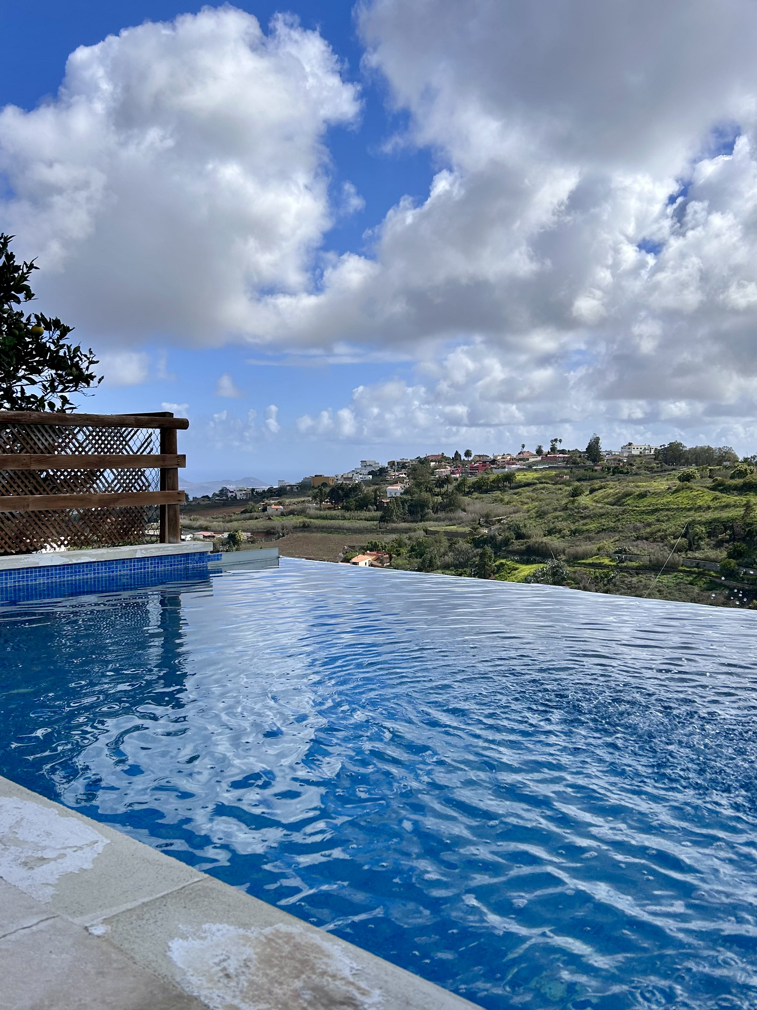 "Los Viejitos en Firgas" 18