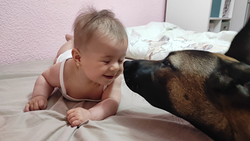 Imagen de Adiestramiento canino en Madrid – Grandes Metas