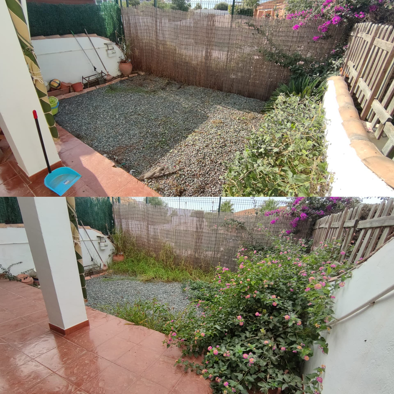 Limpiezas Alicante 5