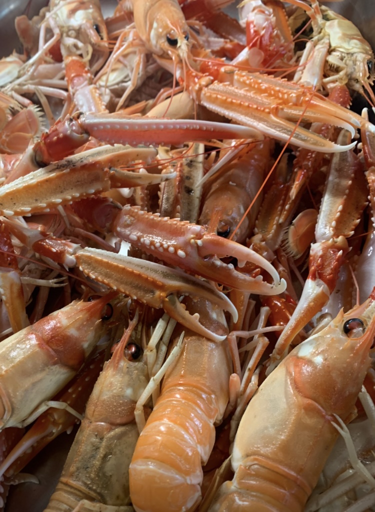 Mirabeles Lifestyle - Agencia de Viajes Online Especializados en Ourense, Galicia 14