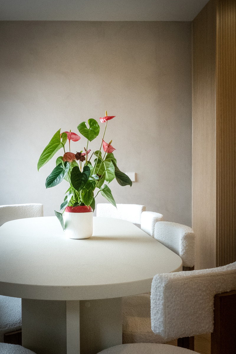 Lo Coco Arquitectura 29