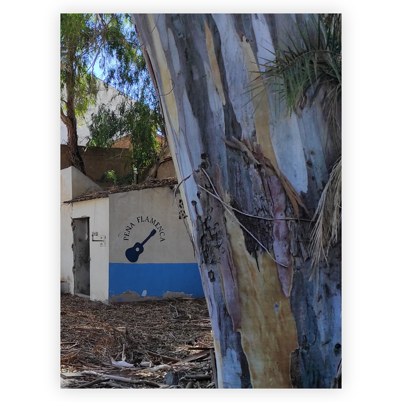 Lo Coco Arquitectura 22