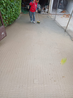 Galería de imágenes