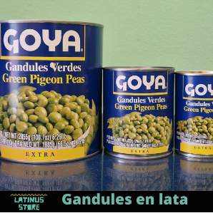 Latinus Store Bertamir&aacute;ns 9