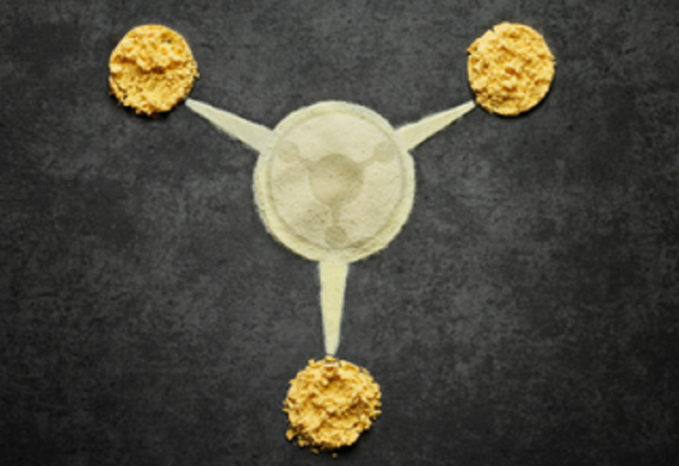 M&E Longevidad con Prop&oacute;sito 18