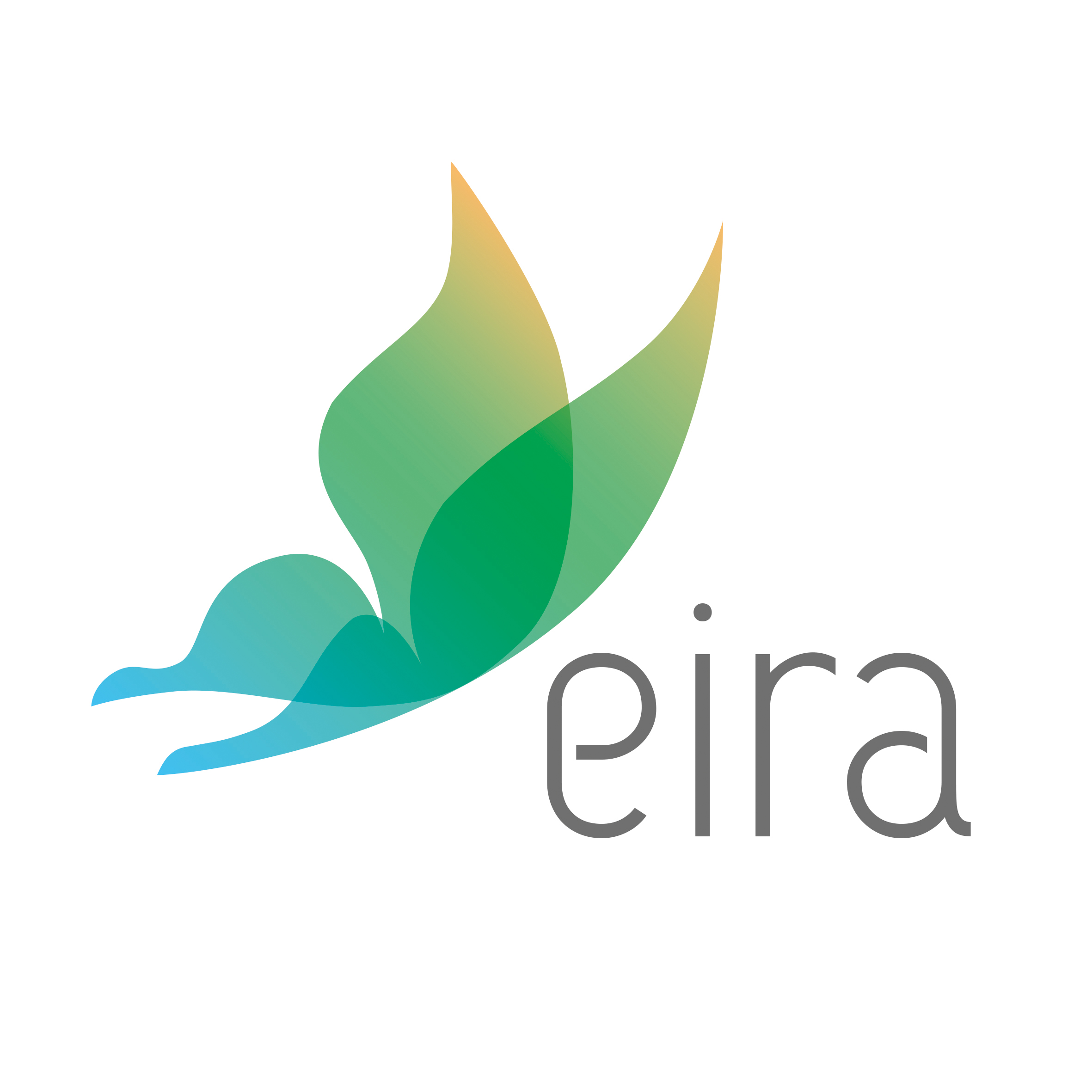 Eira Fisioterapia y Osteopatía