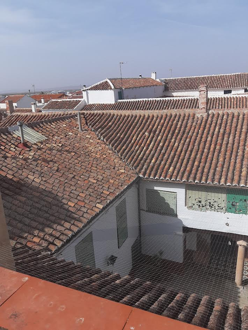 Bio Vector Control Griñón