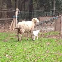 Galería de imágenes