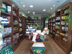 Galería de imágenes