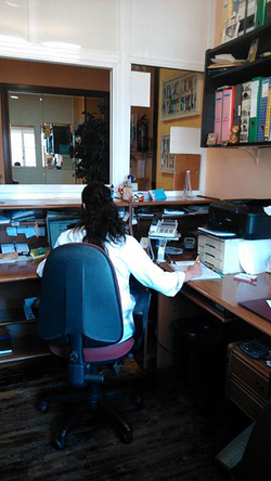 Galería de imágenes