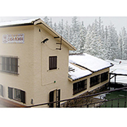 Restaurante Casa Ochoa COCINA CASERA