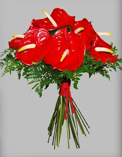 Florister&iacute;a El Vivero 4