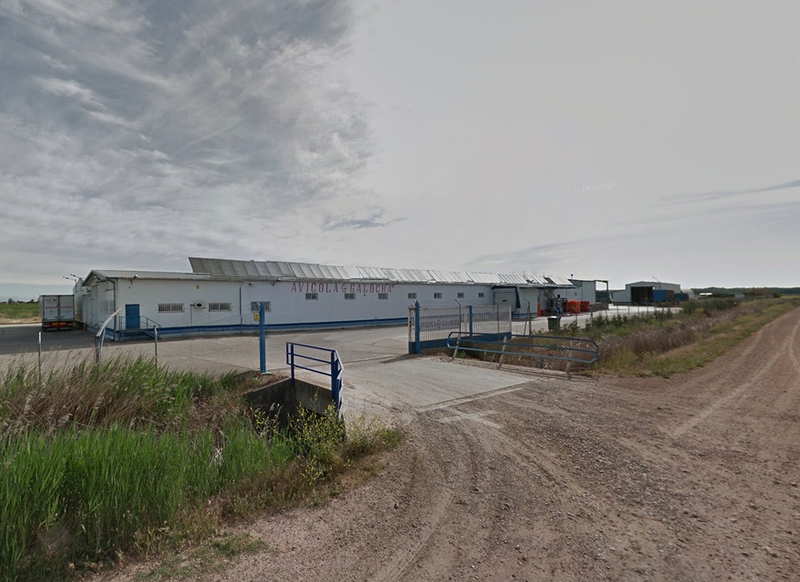 Avicola Galocha S.L 2