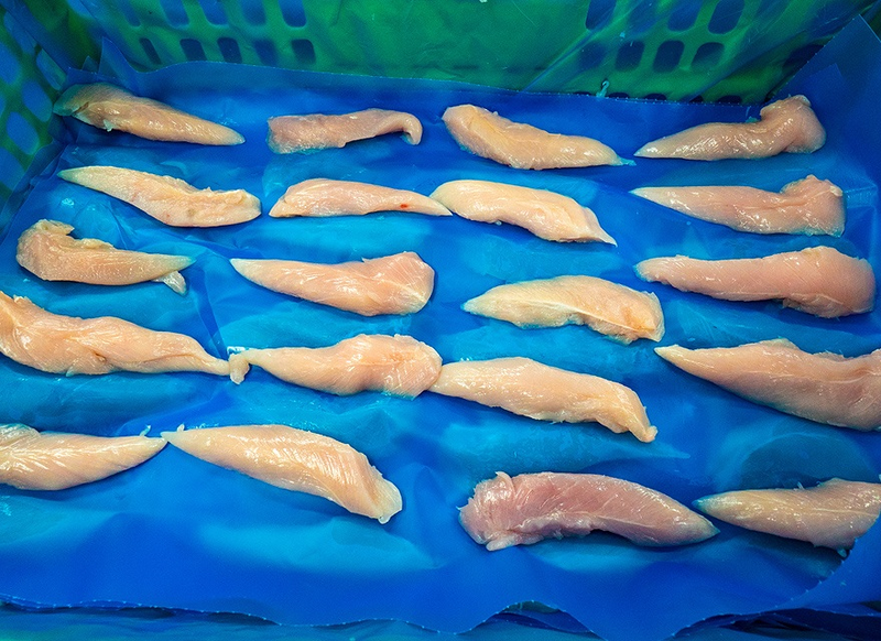 Avicola Galocha S.L MATADEROS INDUSTRIALES DE AVES Y CAZA