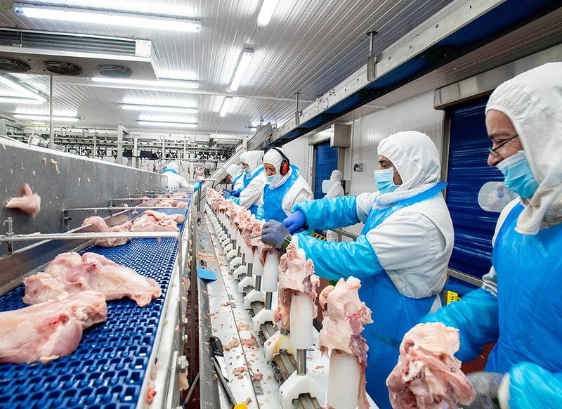 Avicola Galocha S.L San Cristóbal de Entreviñas