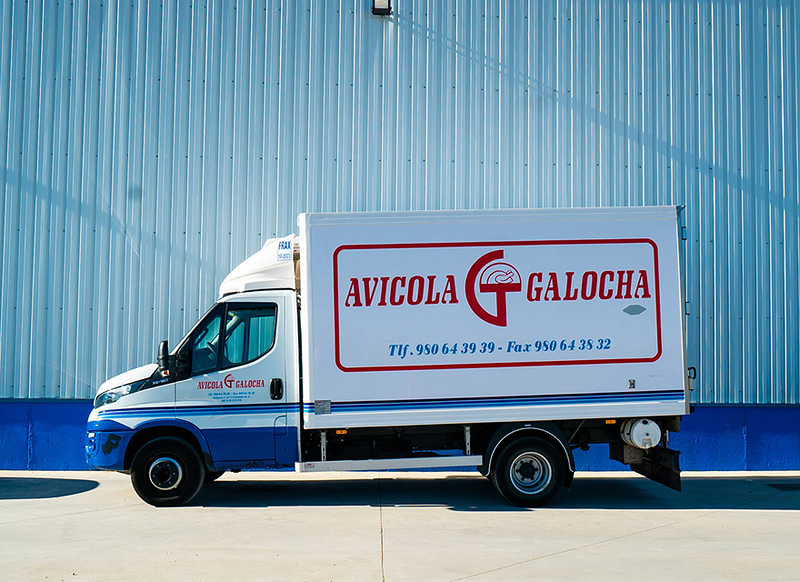 Avicola Galocha S.L 3