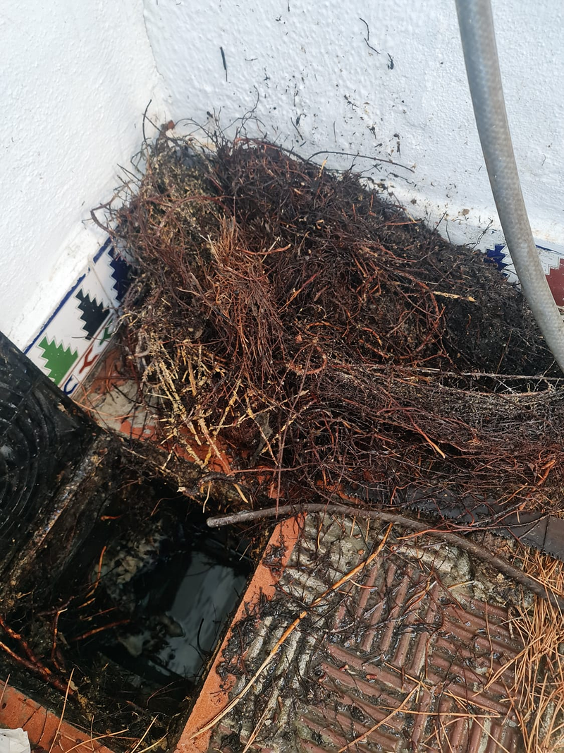 Desatascos Santa Ana 7