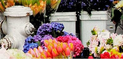 Floristería Isabel 2 Floristería Isabel 2