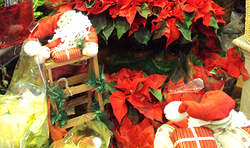 Floristería Isabel 3 Floristería Isabel 3
