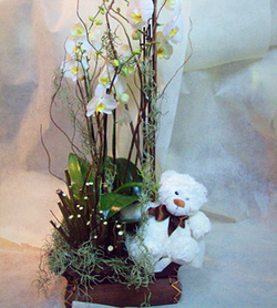 Floristería Isabel 4 Floristería Isabel 4