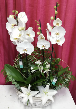 Floristería Rosales 4 Floristería Rosales 4