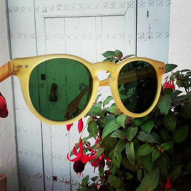 &Aacute;lvarez Atienza 16