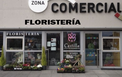 Castilla Floristería Burgos Castilla Floristería Burgos