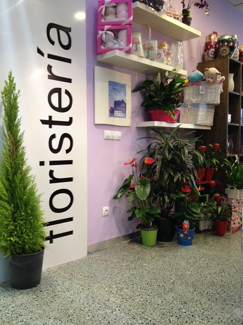 Castilla Florister&iacute;a - Hospital FLORISTERIAS