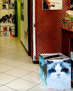 Galería de imágenes