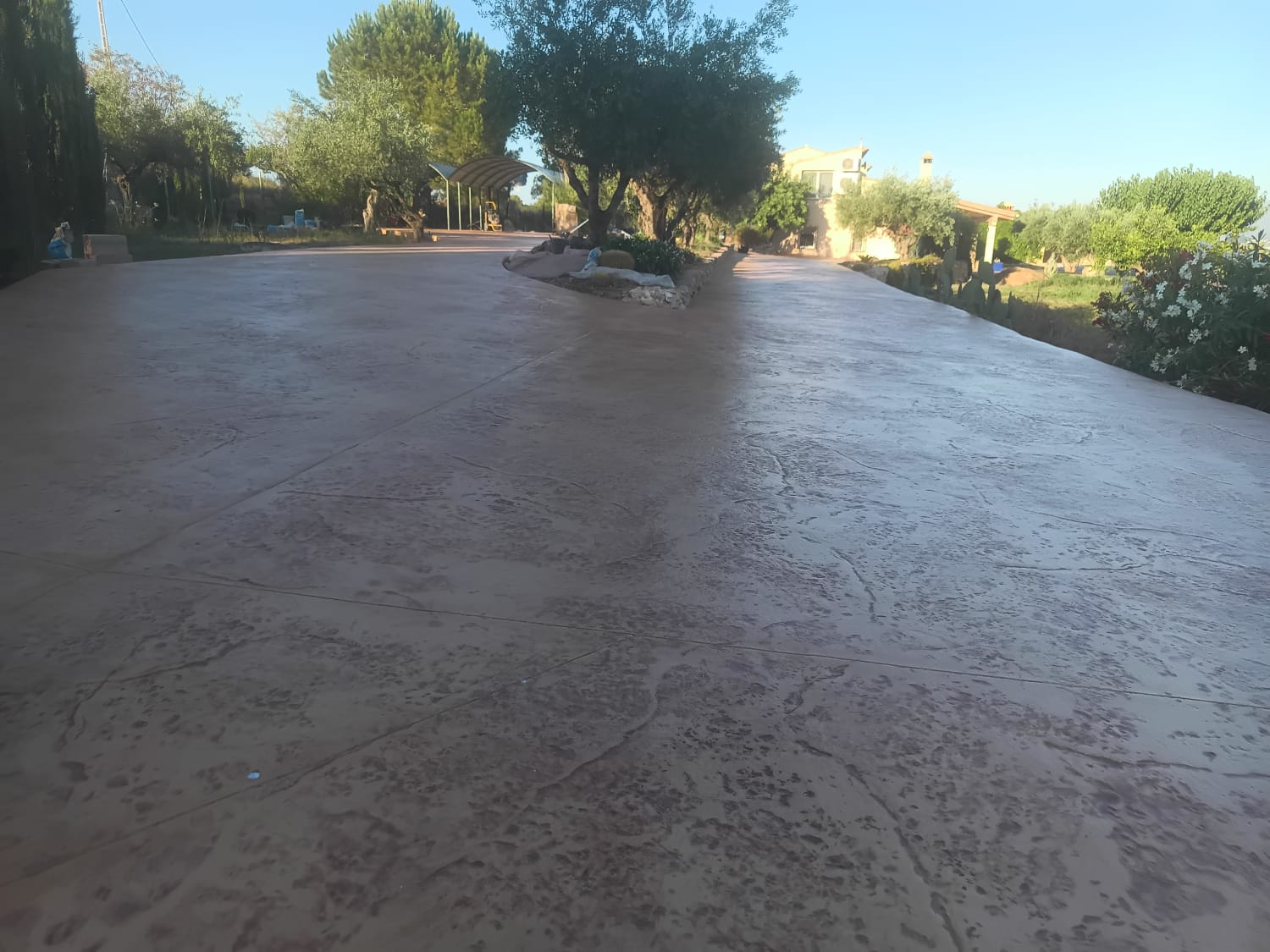 Galería de imágenes