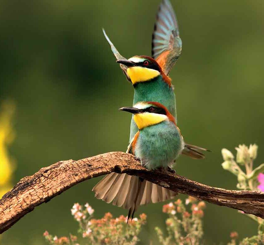 Daniel Acevedo Fotografo 3