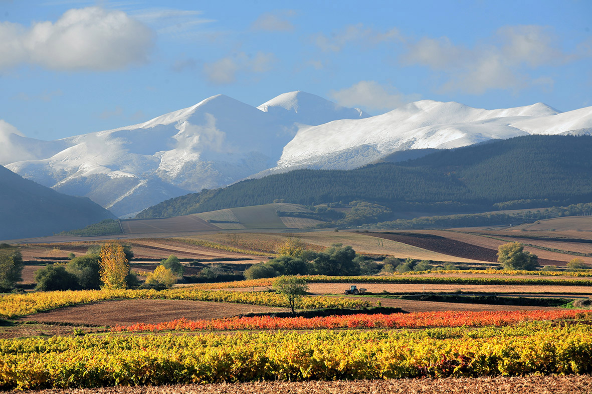 Daniel Acevedo Fotografo 12