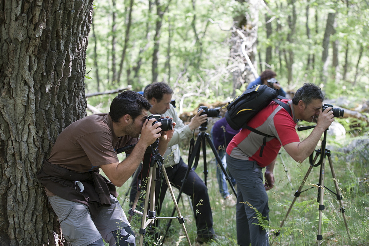 Daniel Acevedo Fotografo 14