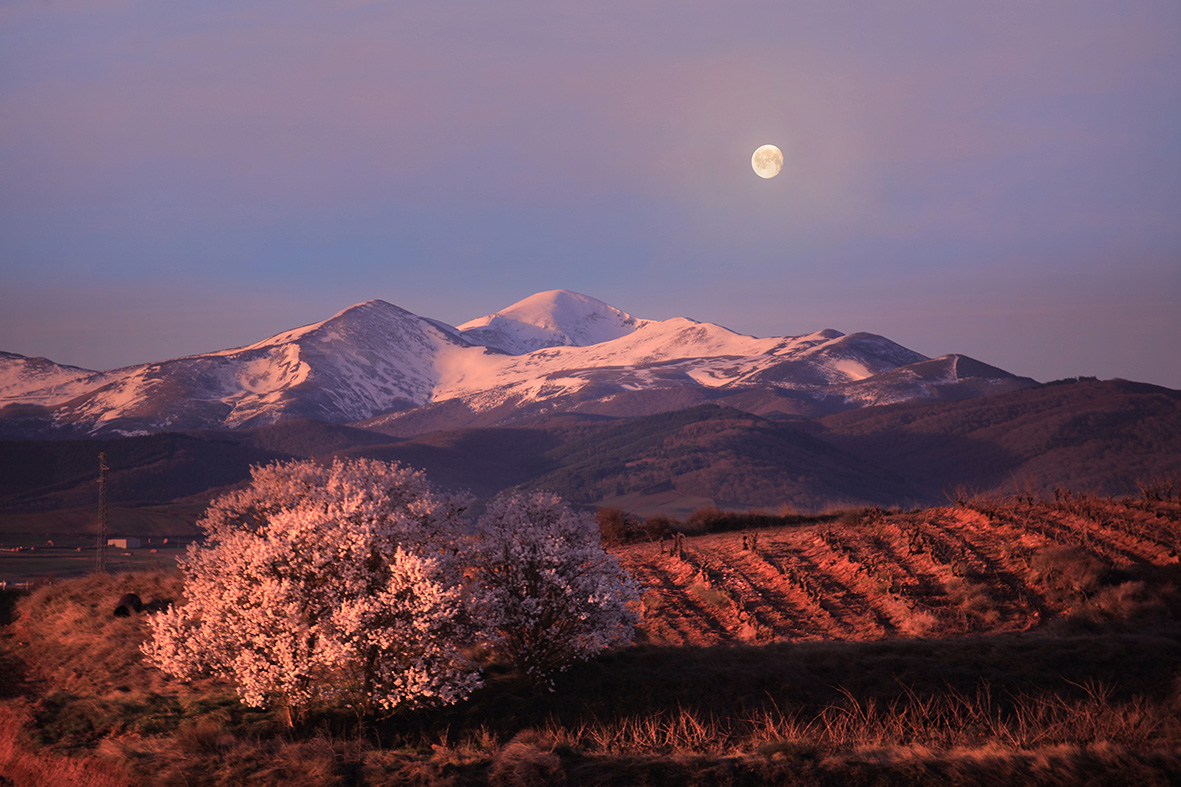 Daniel Acevedo Fotografo 5
