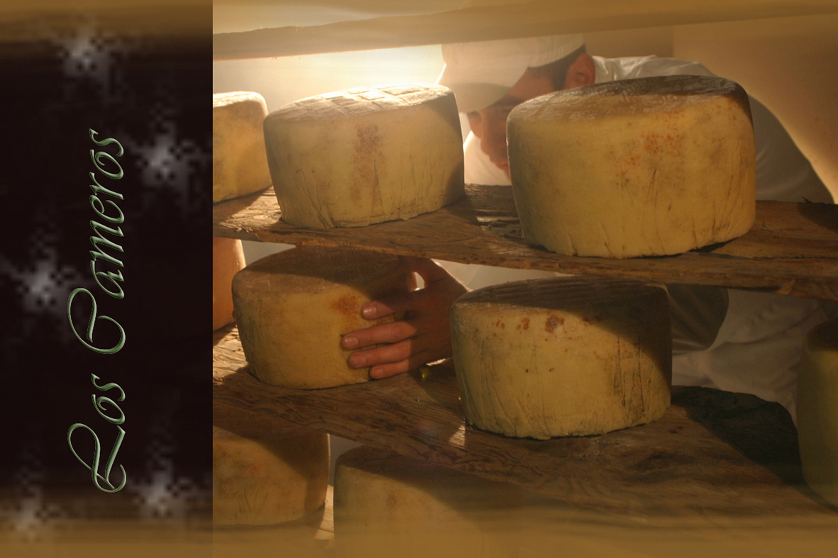 Daniel Acevedo Fotografo 13