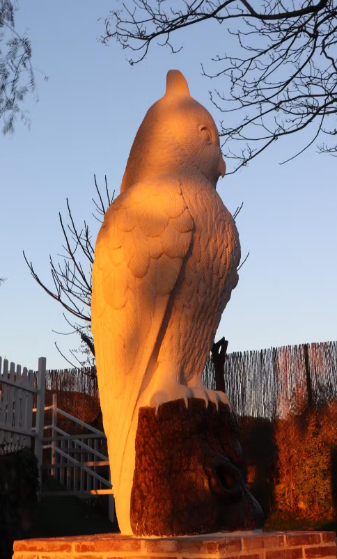 Galería de imágenes