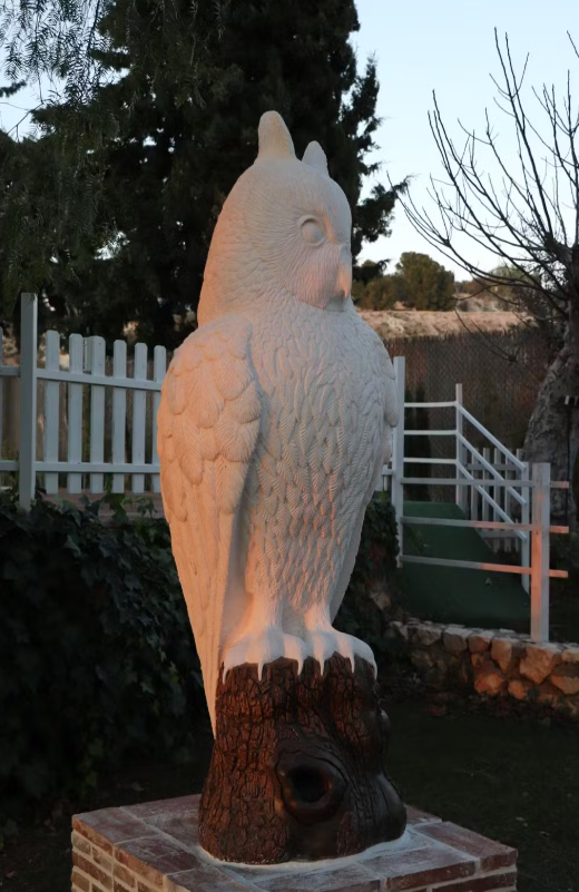 Reserva De B&uacute;hos 5