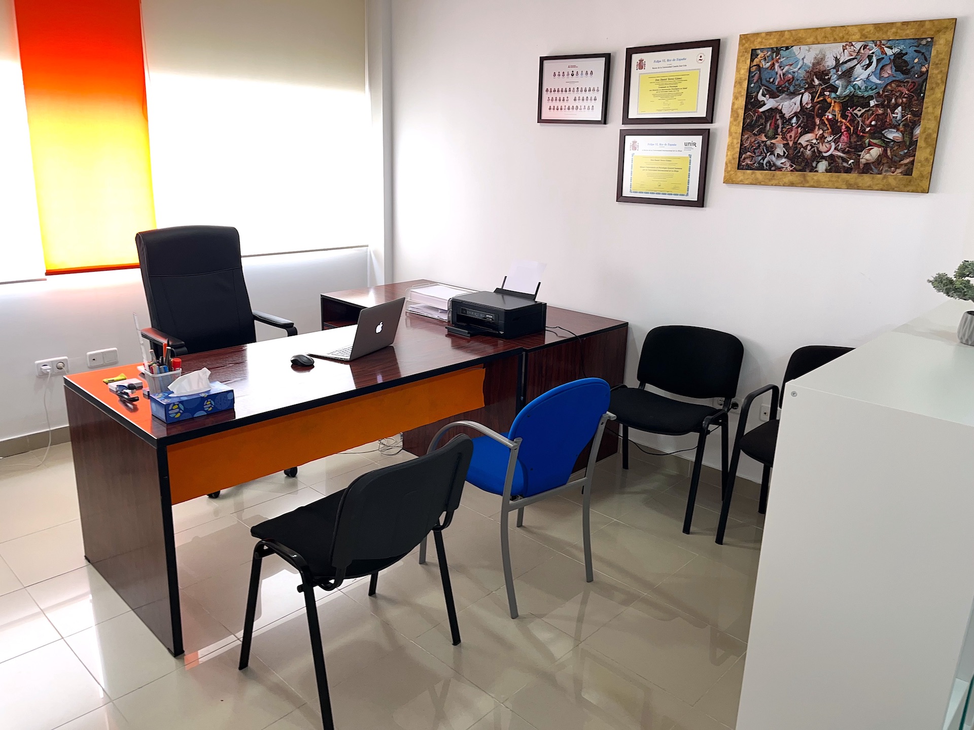 Galería de imágenes