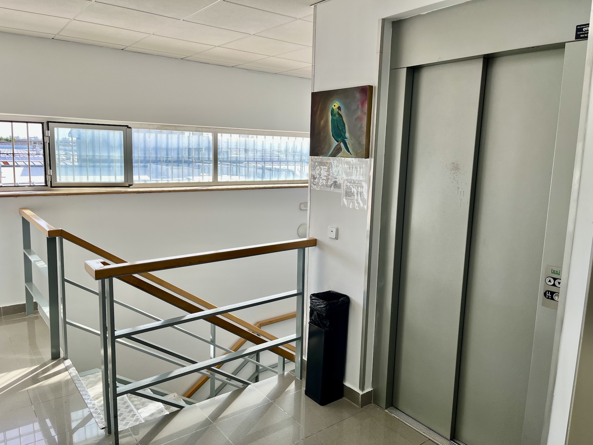 Daniel Torres Psic&oacute;logo 13