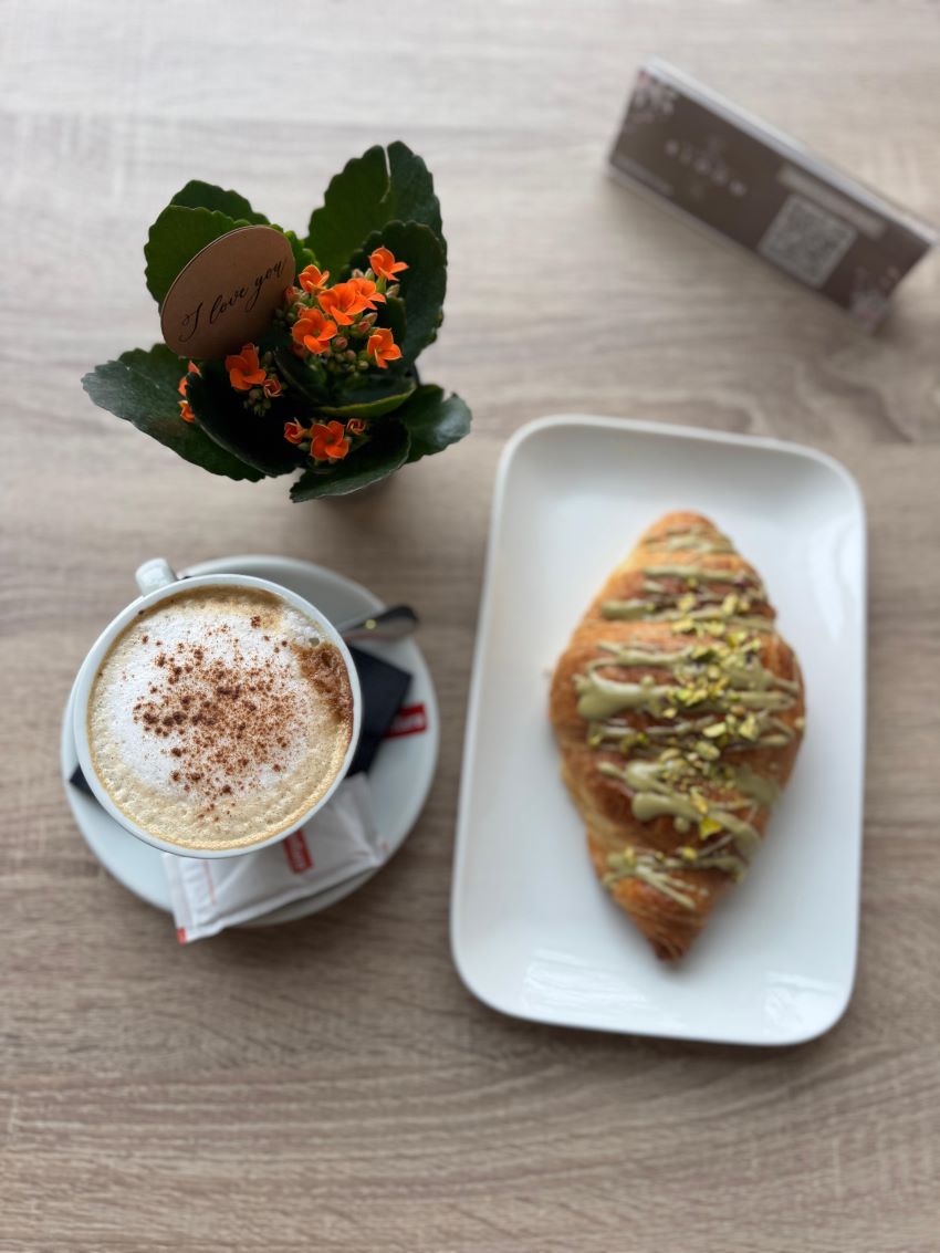 Galería de imágenes