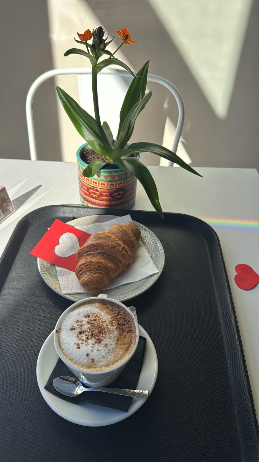 Galería de imágenes