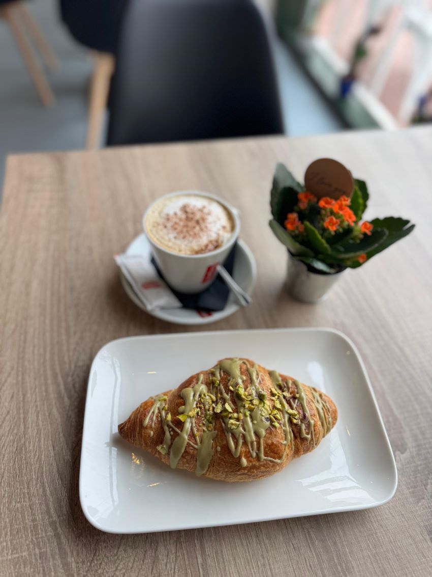 Galería de imágenes