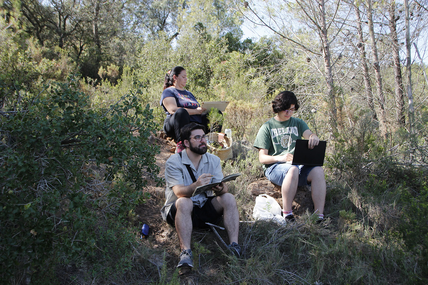 Pict&oacute;rica Bellas Artes 8