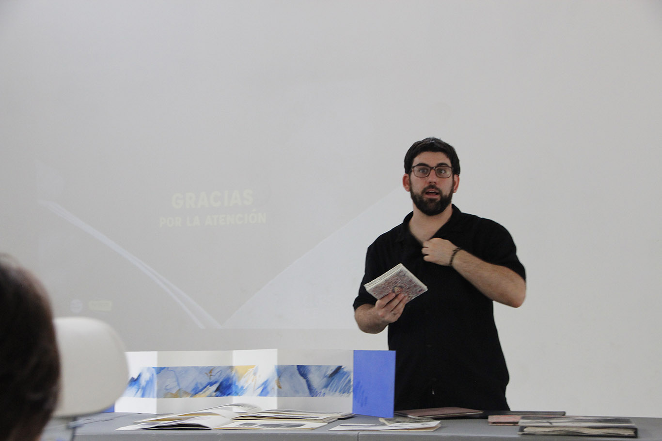 Pict&oacute;rica Bellas Artes 11