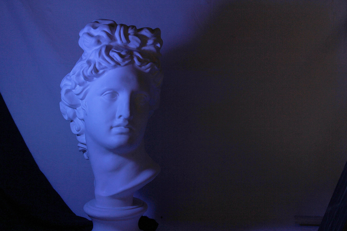 Pict&oacute;rica Bellas Artes 6